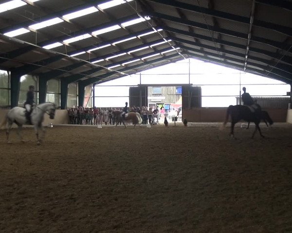 Reitturnier Remscheid, Buscher Hof 2018