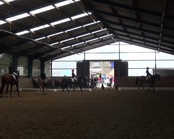 Reitturnier Remscheid, Buscher Hof 2018