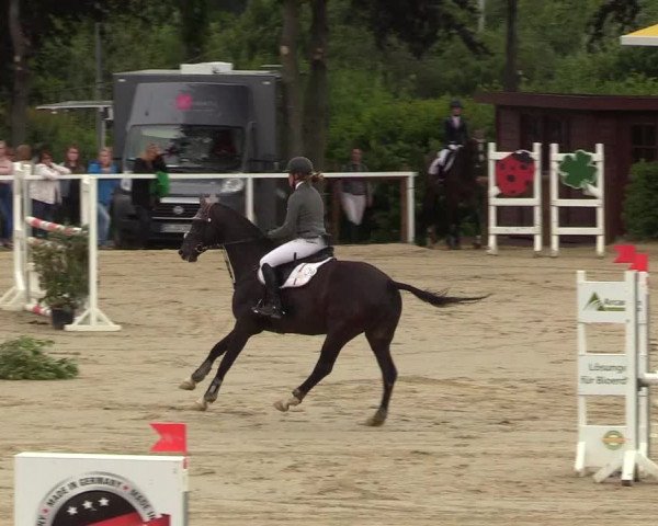 Reitturnier Fröndenberg 2018