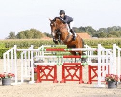 jumper Loranda 6 (Oldenburg, 2010, from Lordanos)