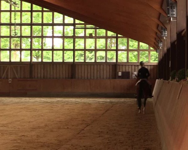 Reitturnier Fröndenberg 2018