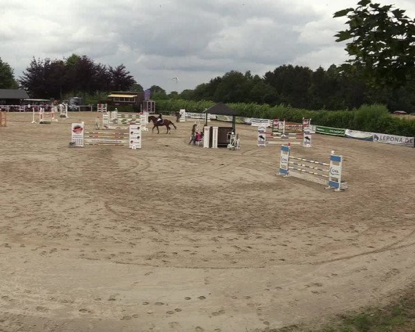 Reitturnier Fröndenberg 2018