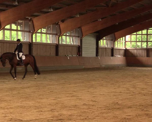 Reitturnier Fröndenberg 2018