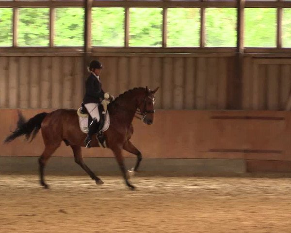 Reitturnier Fröndenberg 2018