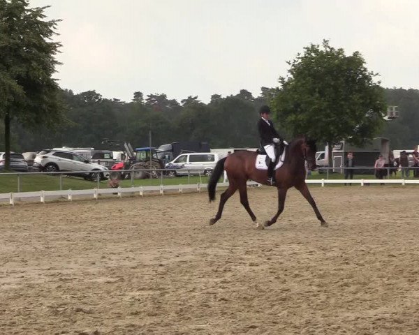 Reitturnier Coesfeld/Lette 2018