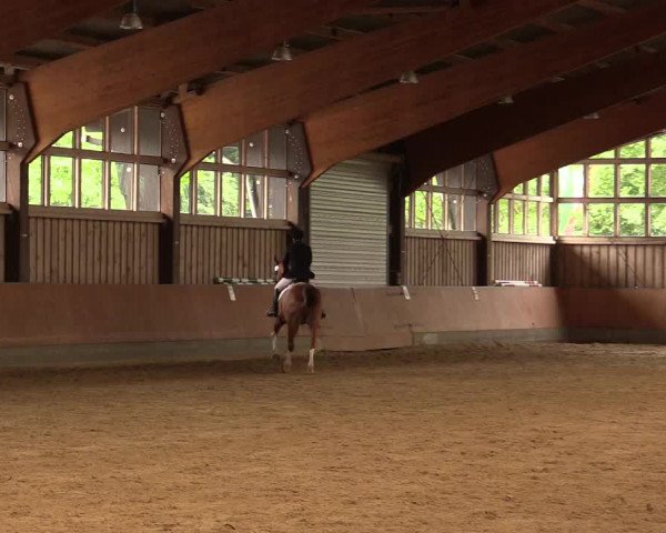 Reitturnier Fröndenberg 2018