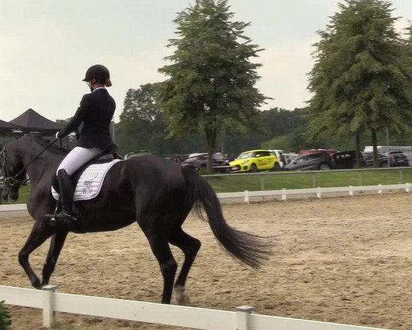 Reitturnier Coesfeld/Lette 2018
