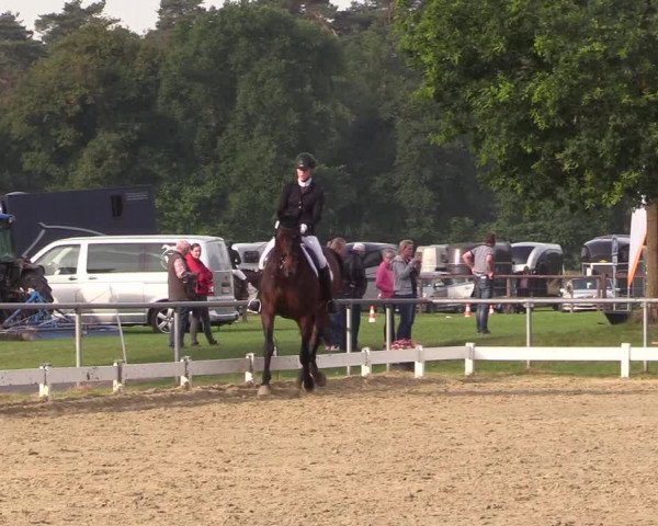 Reitturnier Coesfeld/Lette 2018