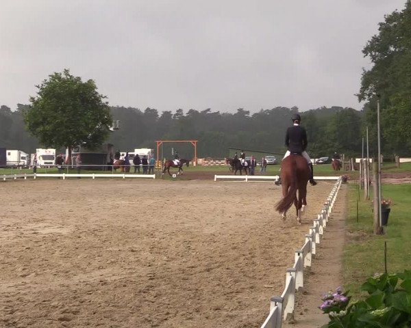 Reitturnier Coesfeld/Lette 2018