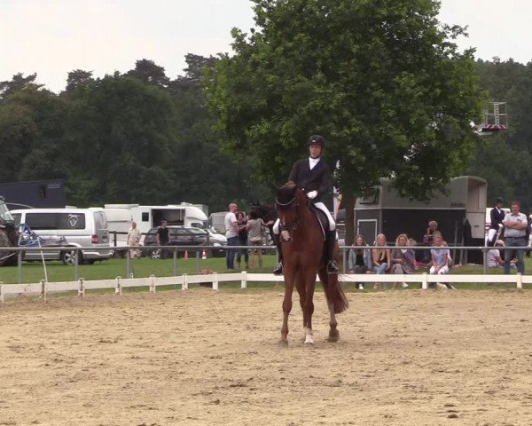 Reitturnier Coesfeld/Lette 2018