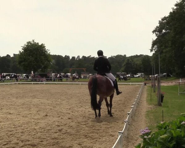 Reitturnier Coesfeld/Lette 2018