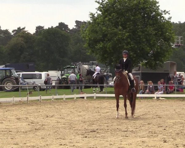 Reitturnier Coesfeld/Lette 2018