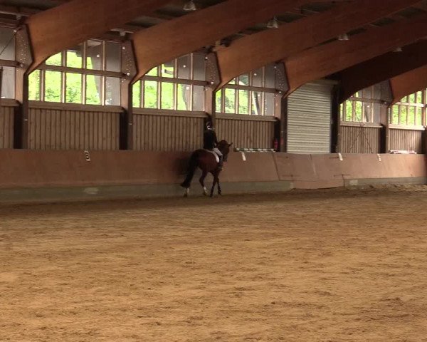Reitturnier Fröndenberg 2018