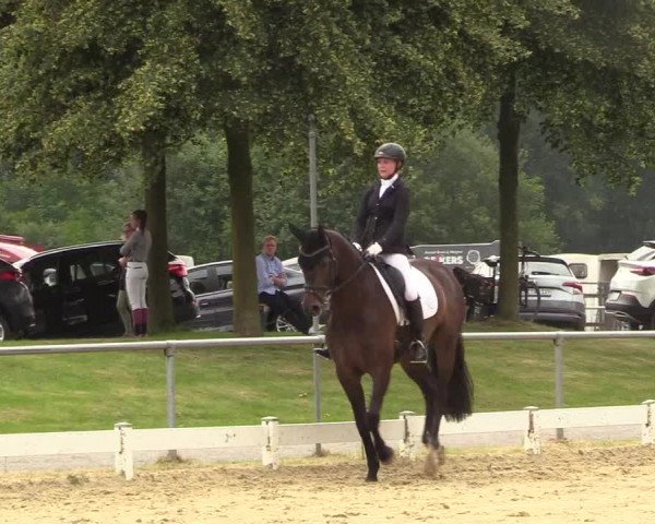 Reitturnier Coesfeld/Lette 2018