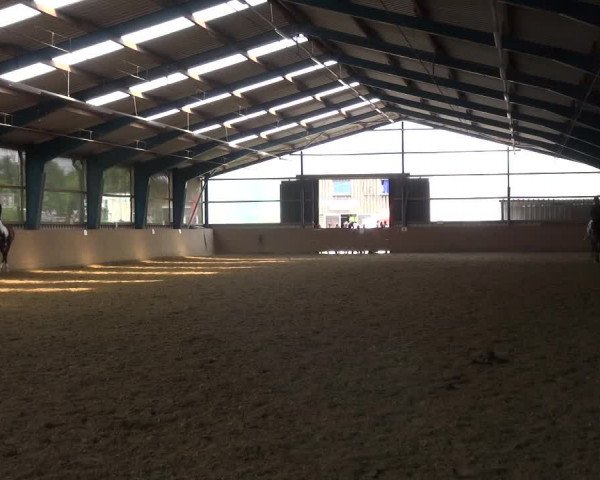 Reitturnier Remscheid, Buscher Hof 2018