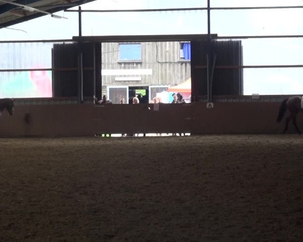 Reitturnier Remscheid, Buscher Hof 2018