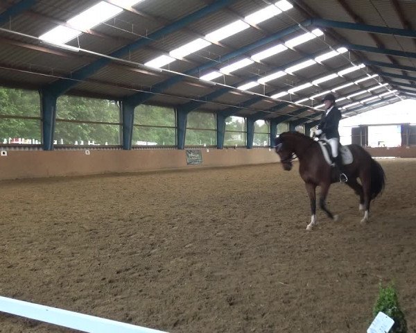Reitturnier Remscheid, Buscher Hof 2018