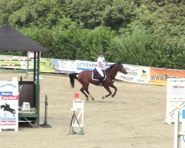 Reitturnier Fröndenberg 2018