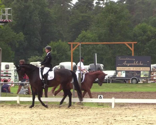 Reitturnier Coesfeld/Lette 2018