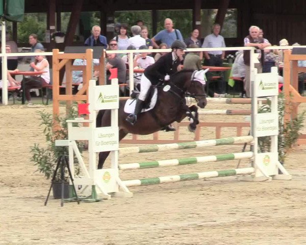 Reitturnier Fröndenberg 2018