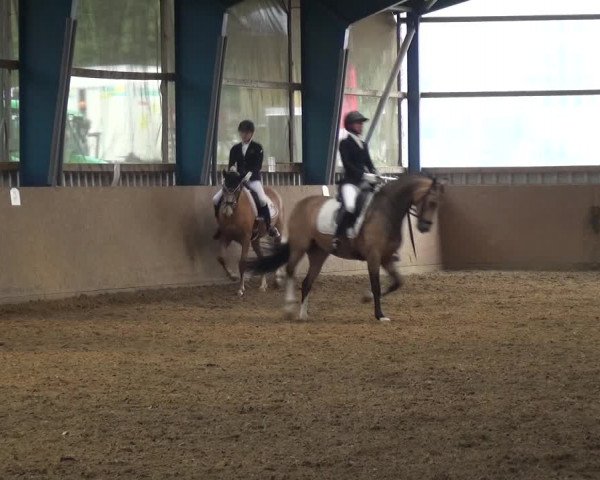 Reitturnier Remscheid, Buscher Hof 2018
