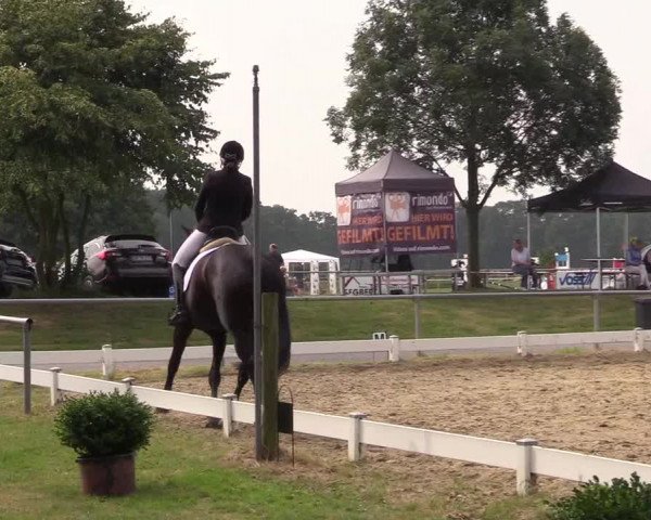 Reitturnier Coesfeld/Lette 2018