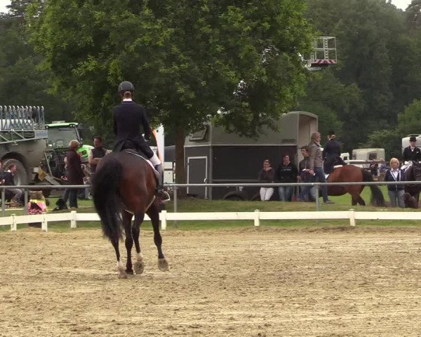 Reitturnier Coesfeld/Lette 2018