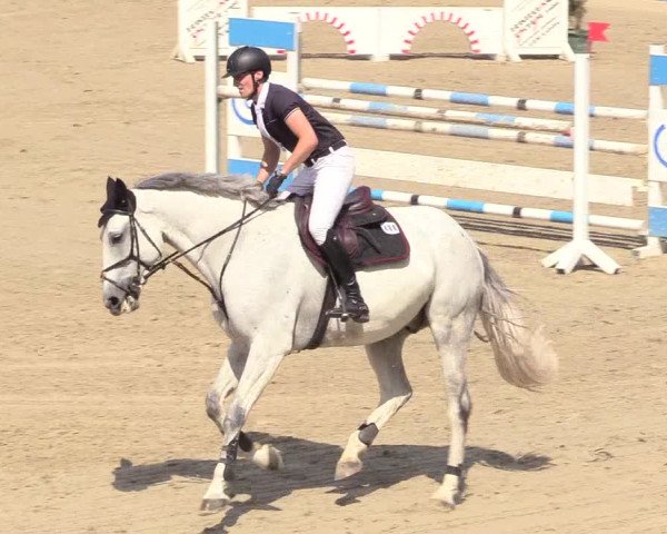 Reitturnier Fröndenberg 2018