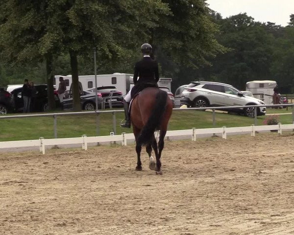 Reitturnier Coesfeld/Lette 2018