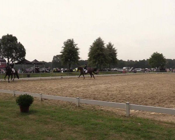 Reitturnier Coesfeld/Lette 2018