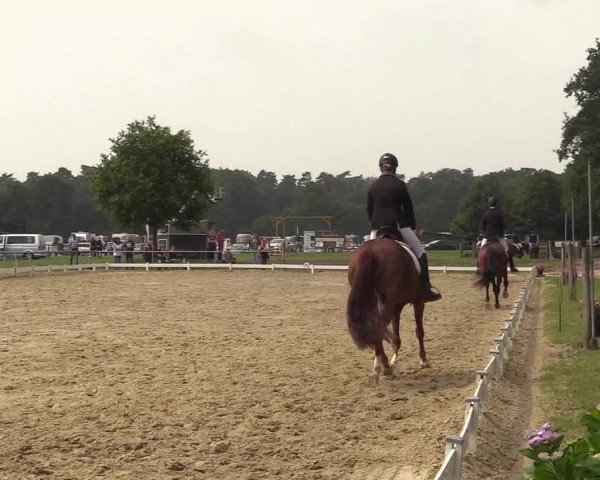 Reitturnier Coesfeld/Lette 2018