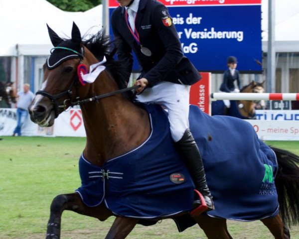 Cheval de saut Rayja (Oldenbourg, 2012, de Royal Doruto OLD) Cheval de saut Rayja (Oldenbourg, 2012, de Royal Doruto OLD)
