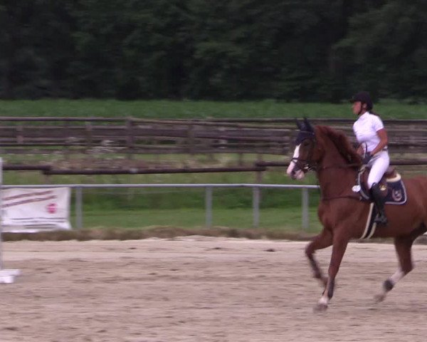 Reitturnier Coesfeld/Lette 2018