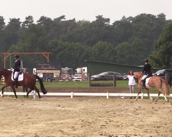 Reitturnier Coesfeld/Lette 2018