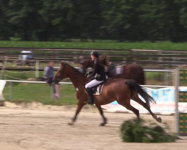 Reitturnier Coesfeld/Lette 2018