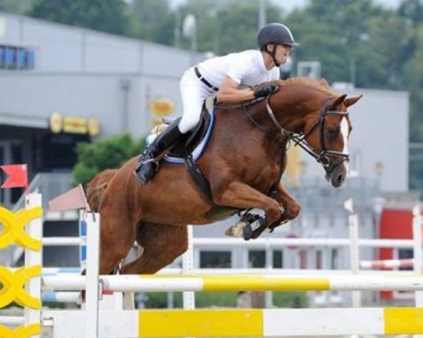 broodmare Zauberhafte (German Sport Horse, 2004, from Zuversicht)