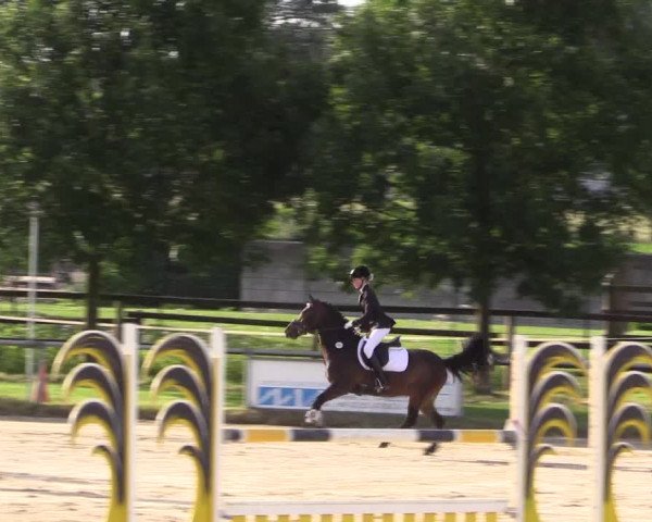 Reitturnier Coesfeld/Lette 2018