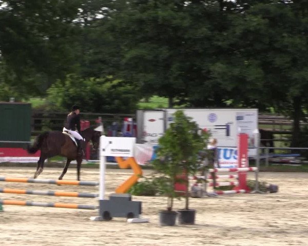 Reitturnier Coesfeld/Lette 2018
