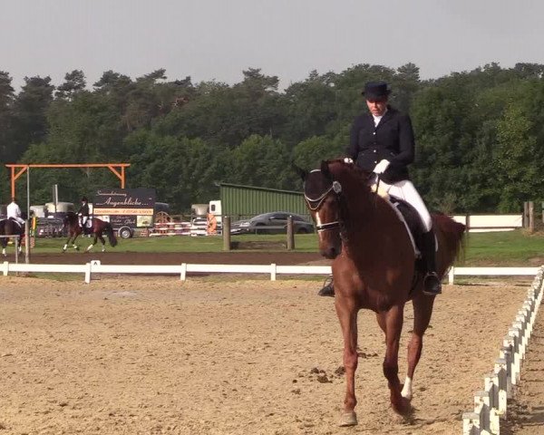 Reitturnier Coesfeld/Lette 2018
