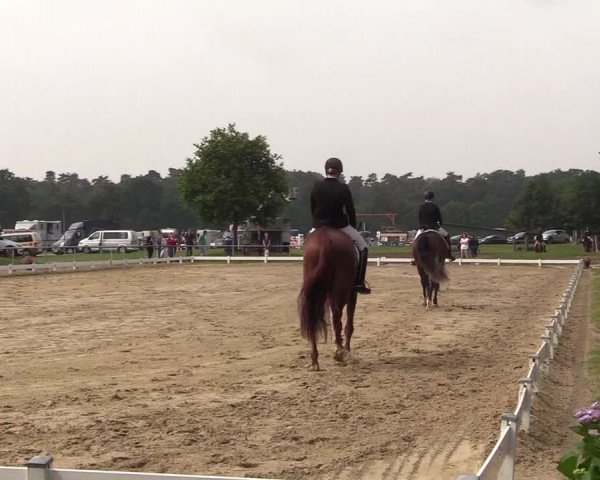 Reitturnier Coesfeld/Lette 2018