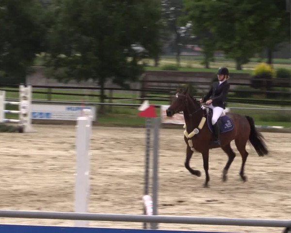 Reitturnier Coesfeld/Lette 2018