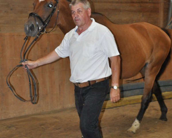 broodmare Valentine (Trakehner, 2000, from Cupric xx)