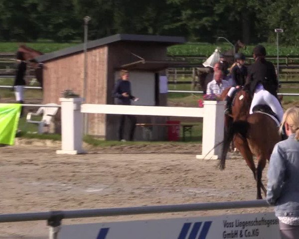 Reitturnier Coesfeld/Lette 2018