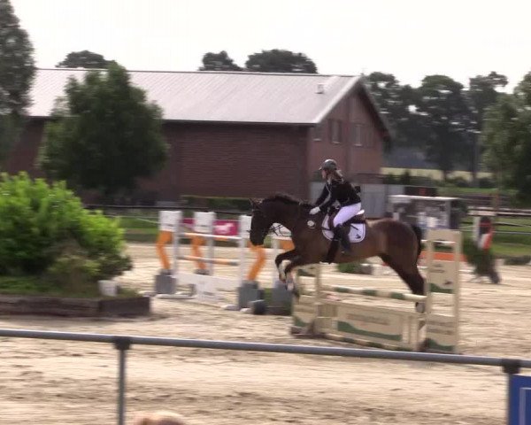 Reitturnier Coesfeld/Lette 2018