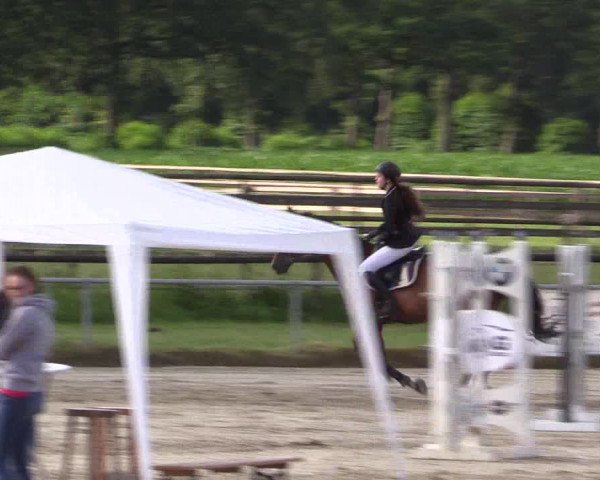 Reitturnier Coesfeld/Lette 2018