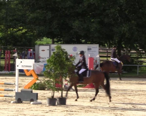 Reitturnier Coesfeld/Lette 2018