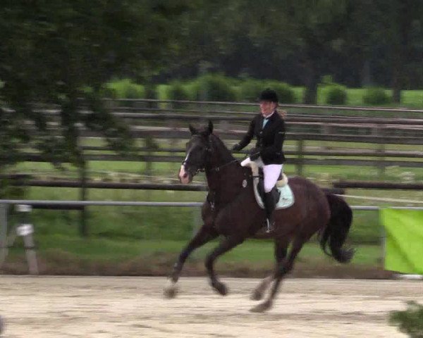 Reitturnier Coesfeld/Lette 2018