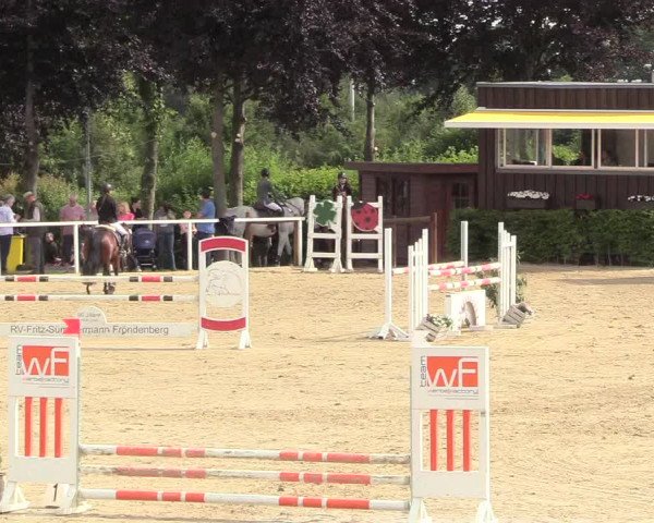 Reitturnier Fröndenberg 2018