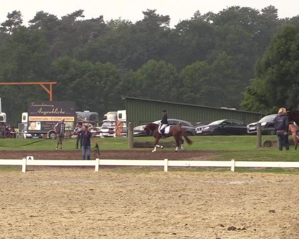 Reitturnier Coesfeld/Lette 2018