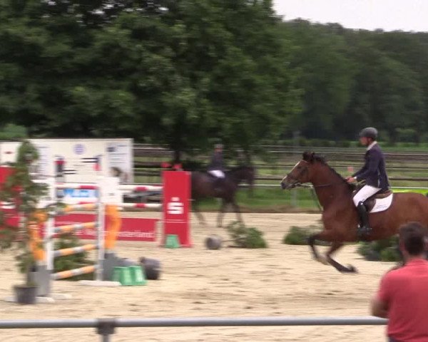 Reitturnier Coesfeld/Lette 2018